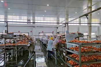 量身定制融资方案 助力企业转型升级