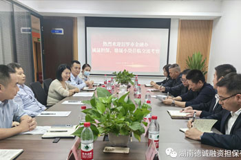 汨罗市金融办、诚晟担保、鼎晟小贷一行莅临公司交流考察