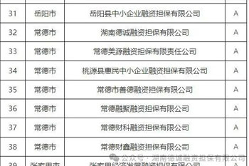 荣誉‖德诚担保公司再次荣获湖南金融监管年度评级A级