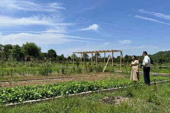 用好特色金融产品‖助力农业经济发展